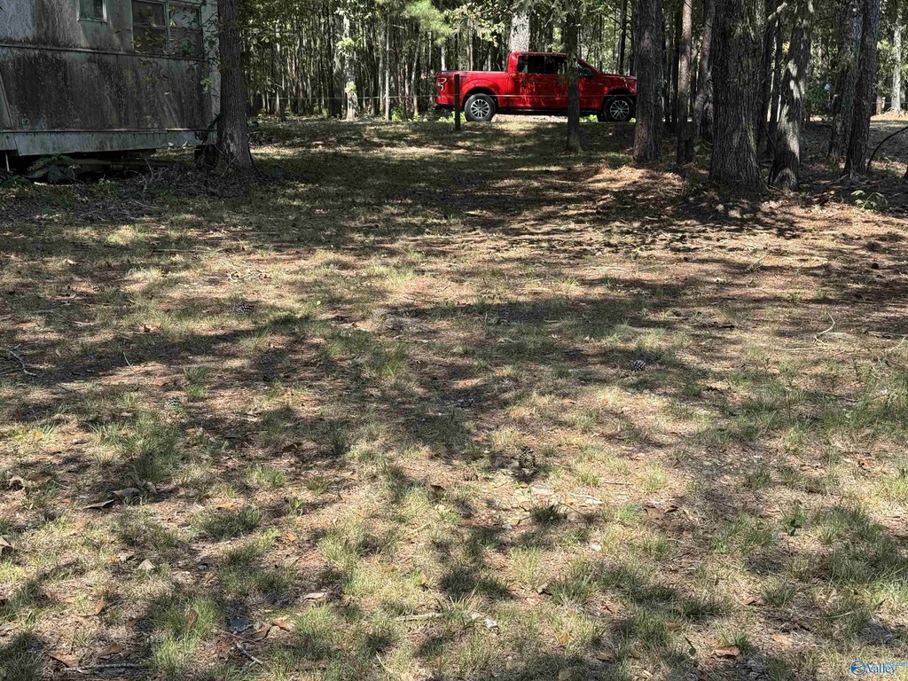 Picture 4