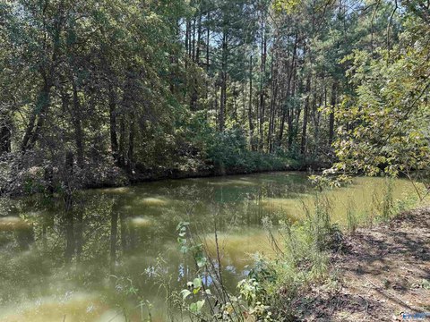 Waterfront Land Parcel