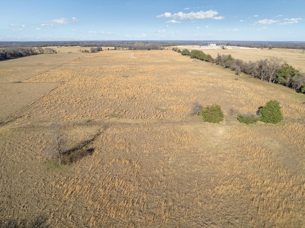 Picture 36