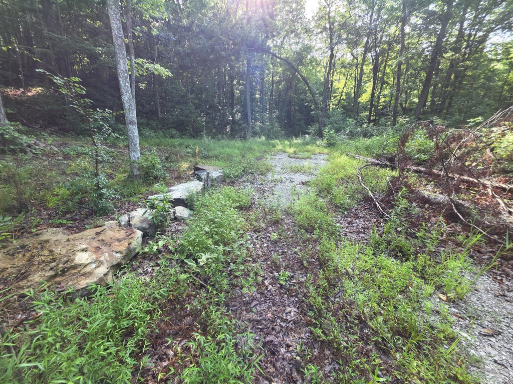 Picture 5