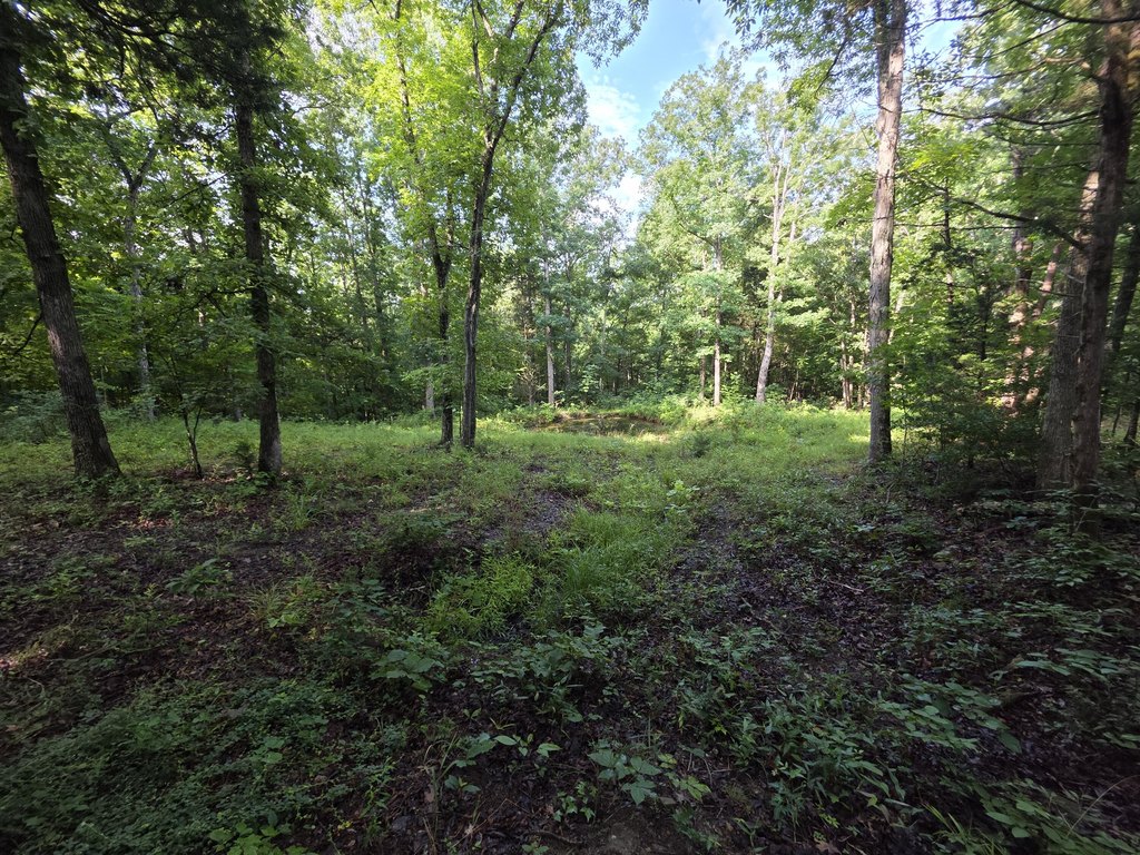 Picture 21