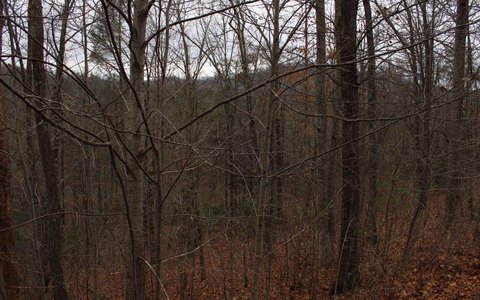 Hayesville Vacant Lot with Views