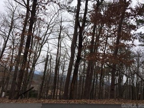 Land with Mountain Views