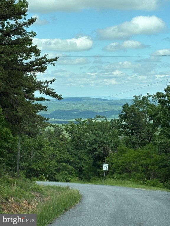 Picture 5