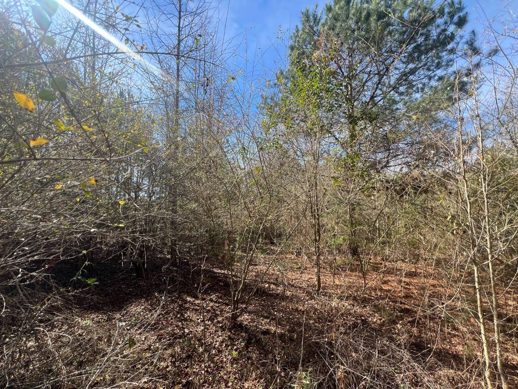 Picture 23