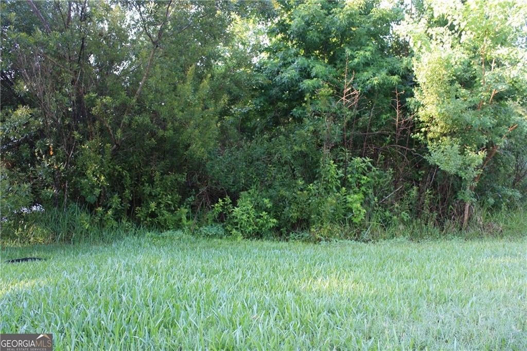 Picture 2