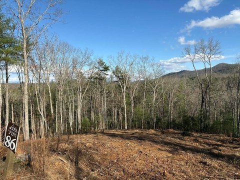Mountain View Lot in Georgia