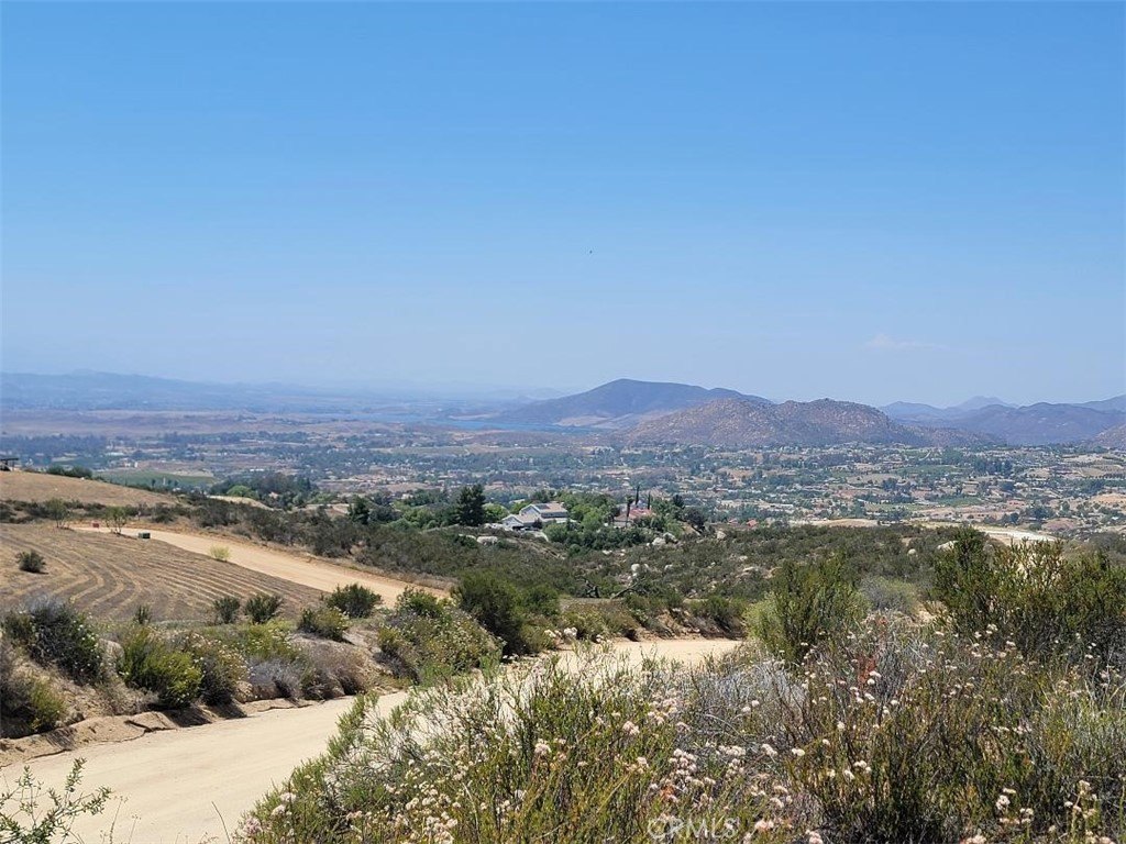 Picture 19