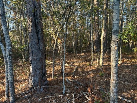 Ravenel Land: Ideal Home Site