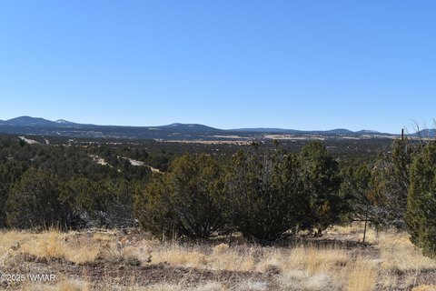 Concho, AZ Land For Sale