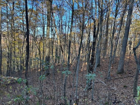 Nantahala Land with Lake Views