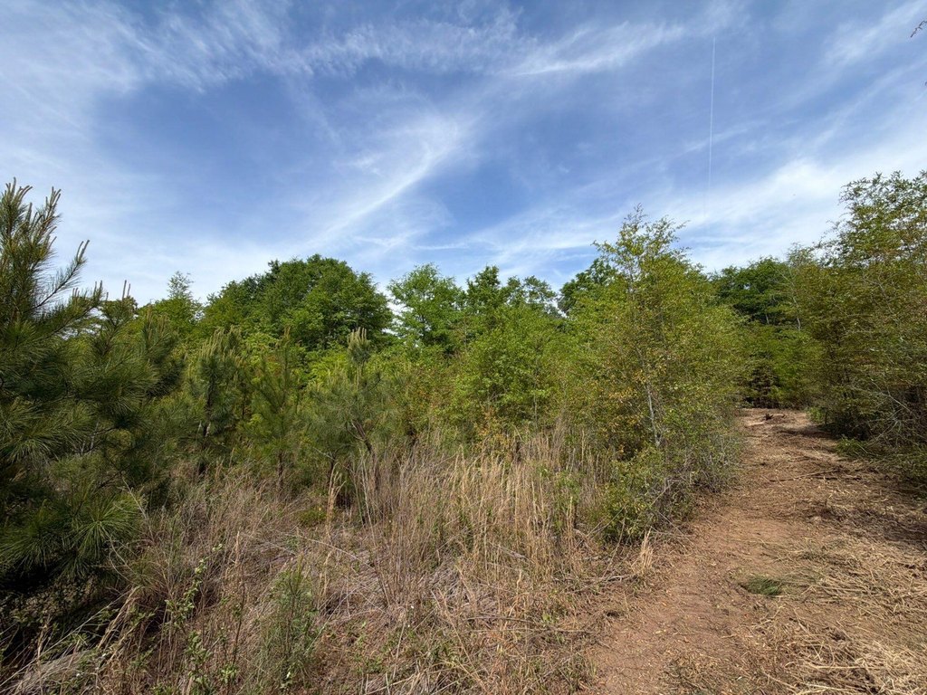 Picture 8