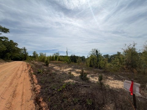 LAND - Salley, SC