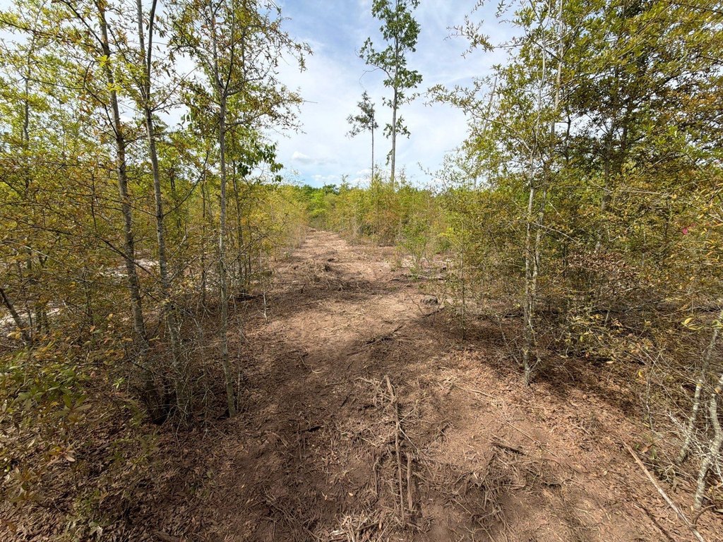 Picture 16