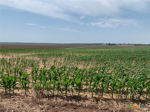 Chilton, TX Land Opportunity