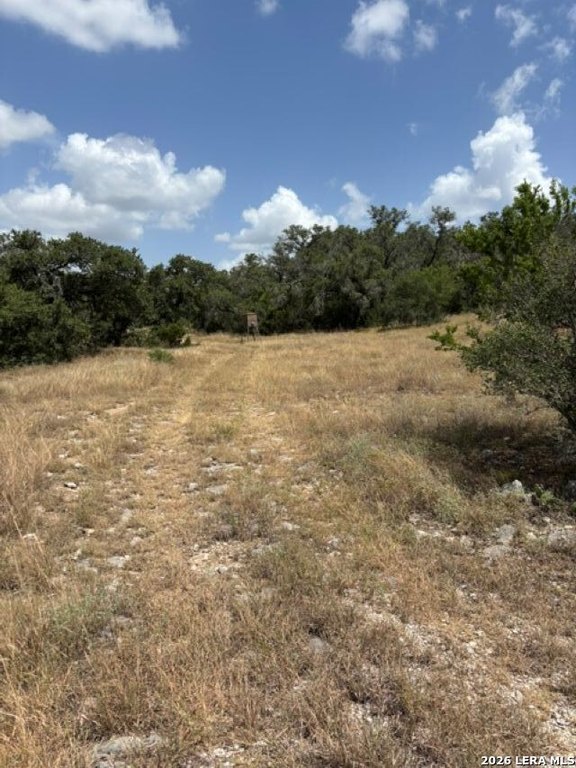 Picture 24