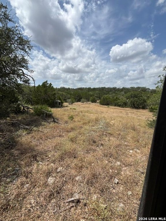 Picture 36