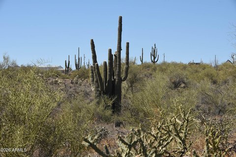 Land, New River, AZ