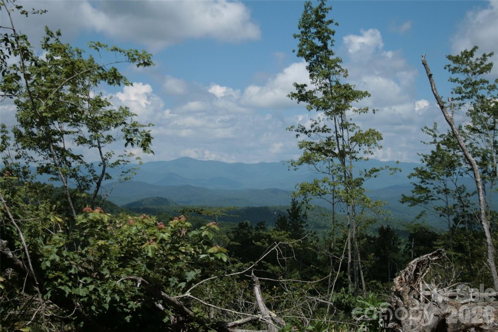 Picture 40