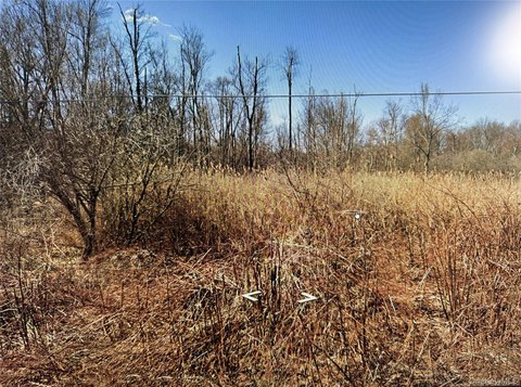 Wooded Recreation Land