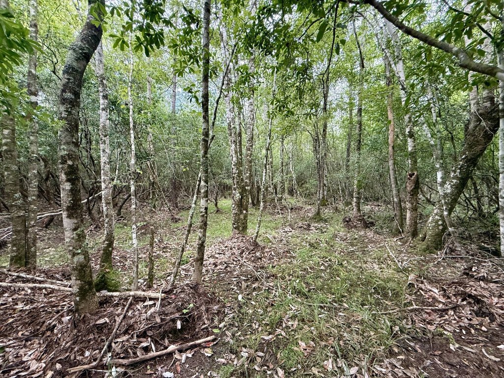 Picture 25