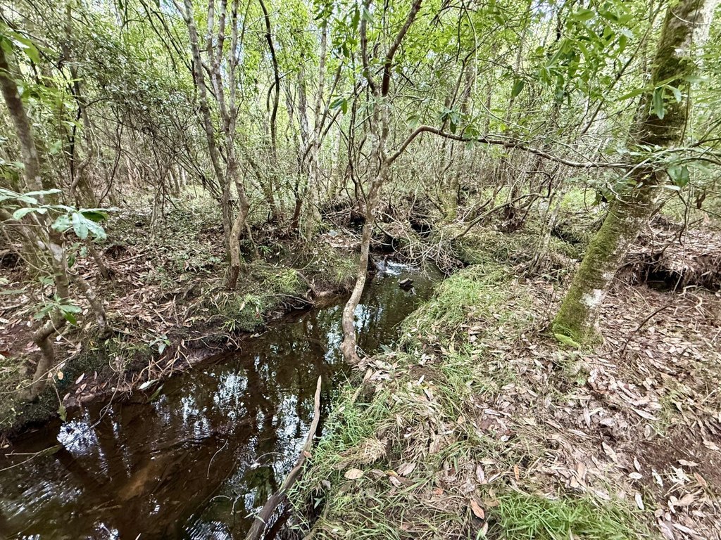 Picture 13
