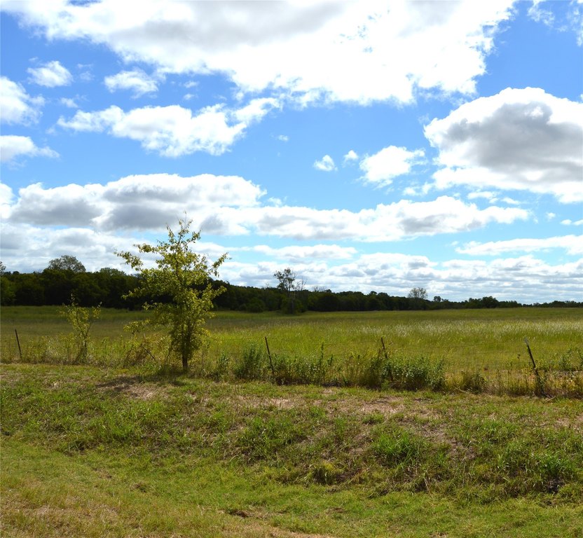 Picture 18