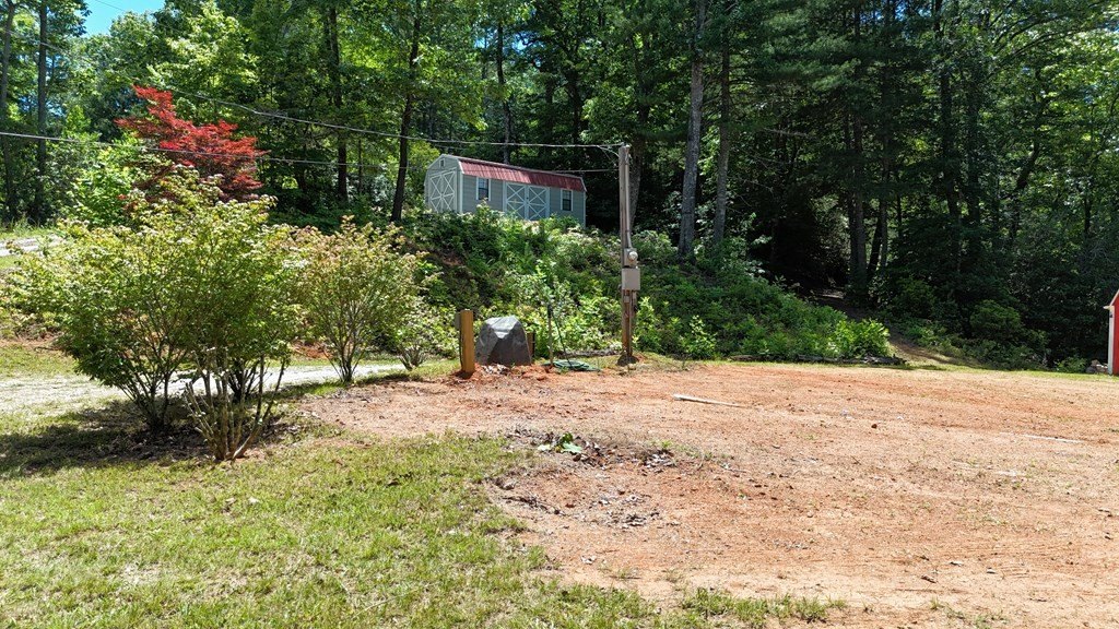 Picture 12