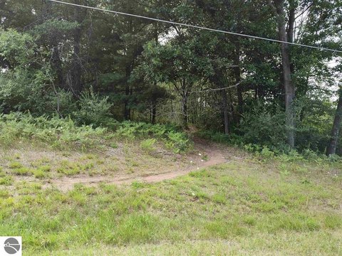 Residential Land in Farwell, Michigan
