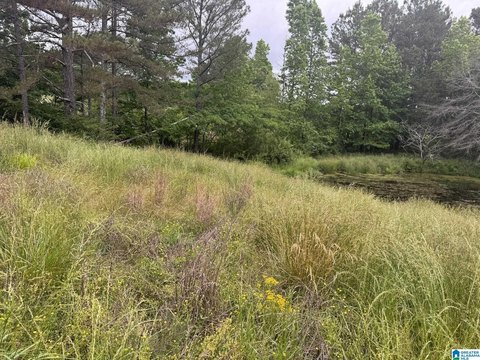 Agricultural Land with Creek and Pond