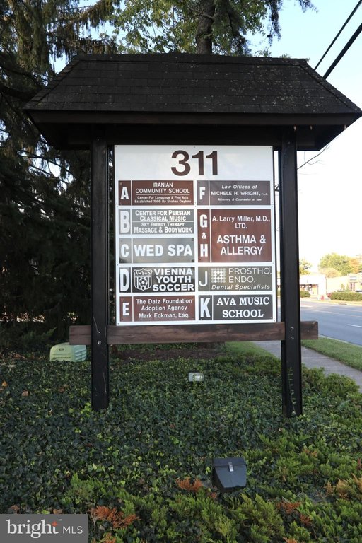 Picture 24