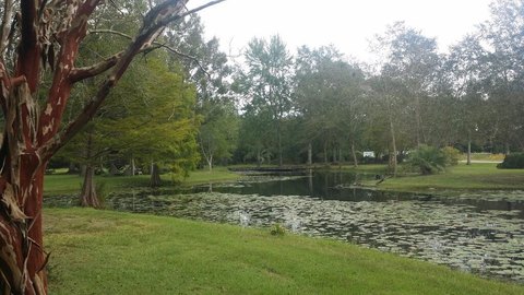 Mixed-Use Property with Ponds