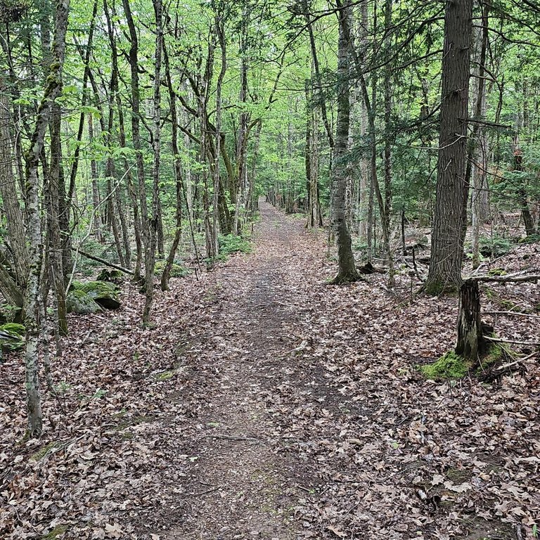 Picture 47