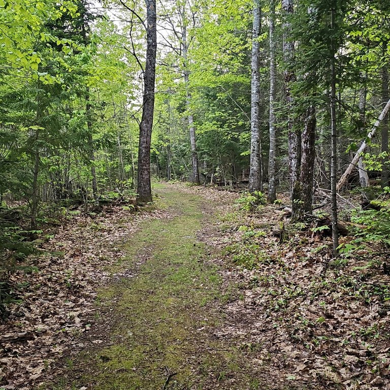Picture 49