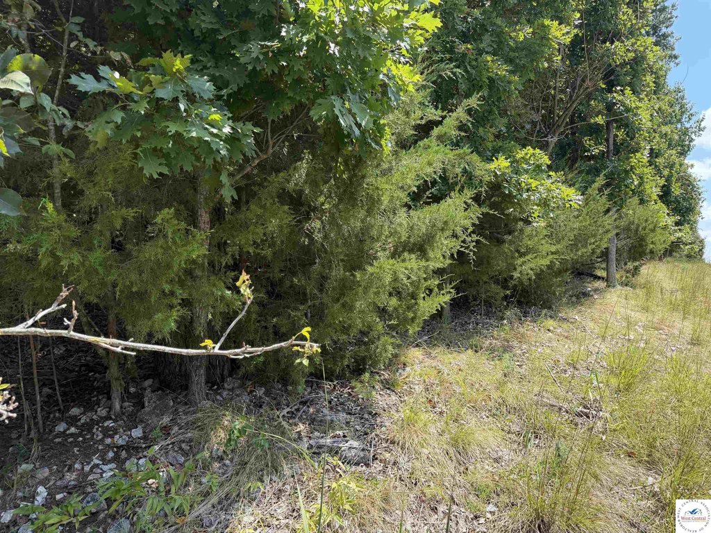 Picture 3