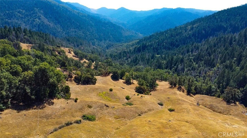 98.55 Acres of Scenic Land