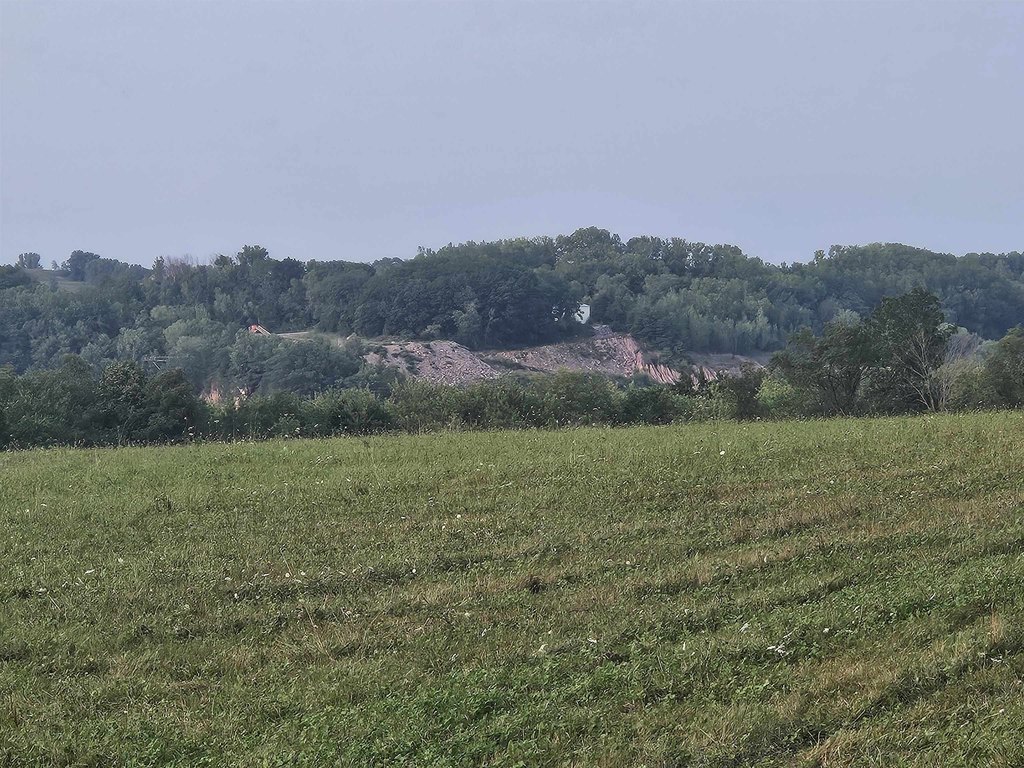 Picture 21