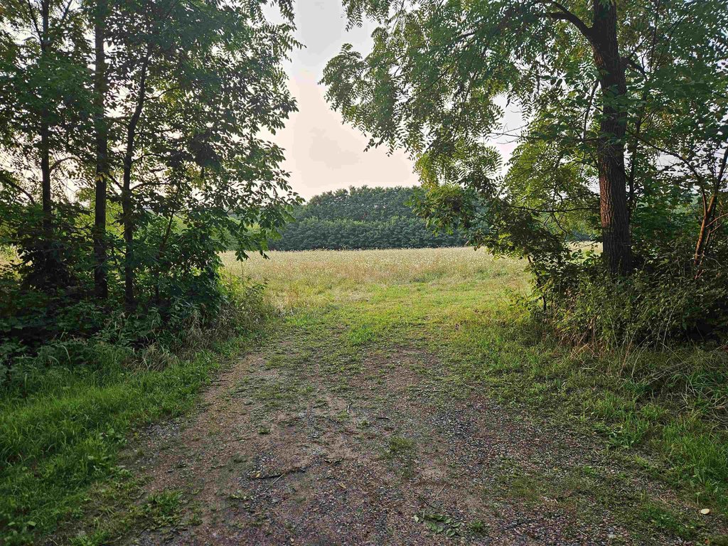 Picture 24