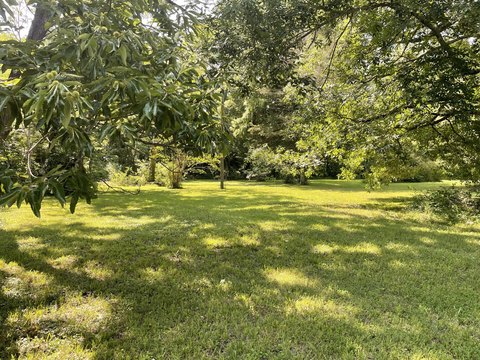 LAND - Cleveland, TN