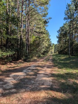 Lots/Land, Poplarville, MS