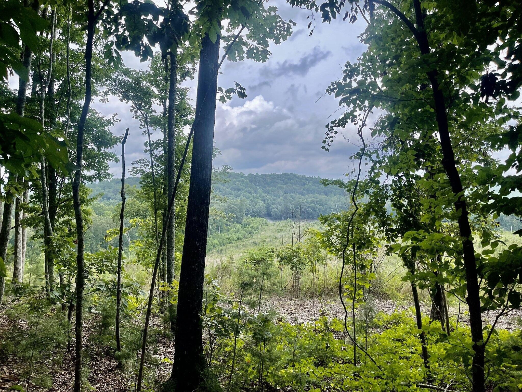 Summerville Land Ready to Build