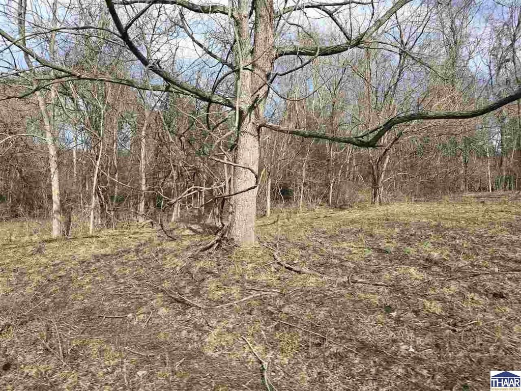 Picture 19