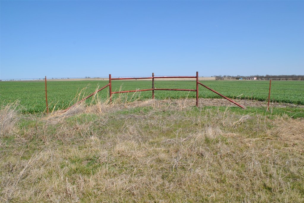 Picture 7
