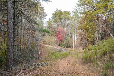 Unrestricted Land with Creek Frontage
