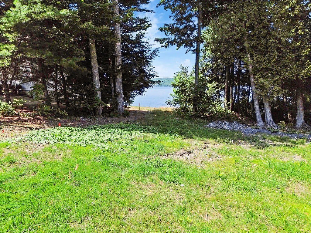 Picture 14
