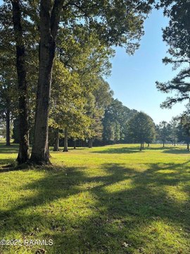 Forest Hill, LA