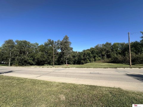 Highway Frontage Lot with Trees