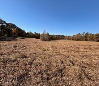 50+ Acres of Kentucky Land