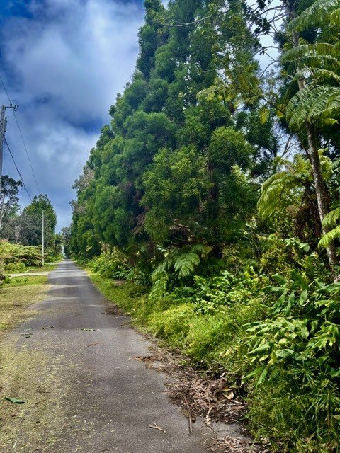 Picture 27
