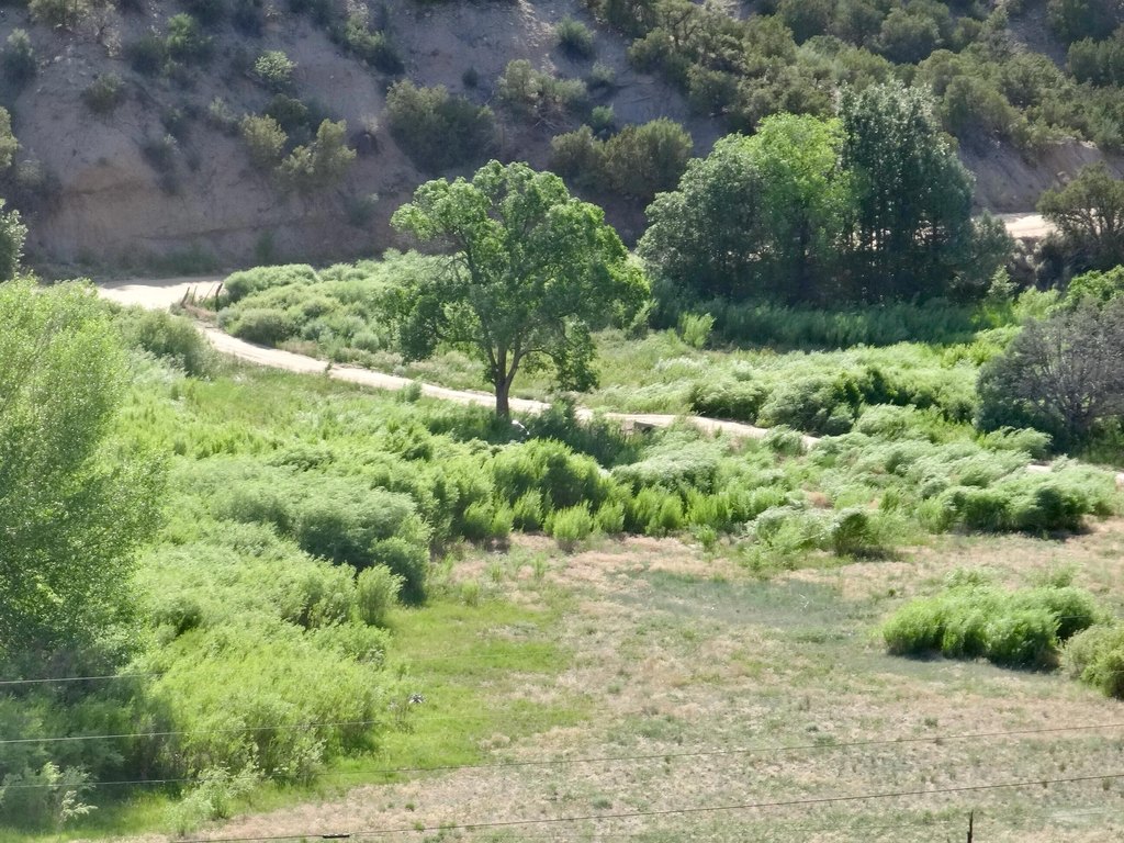 Picture 25